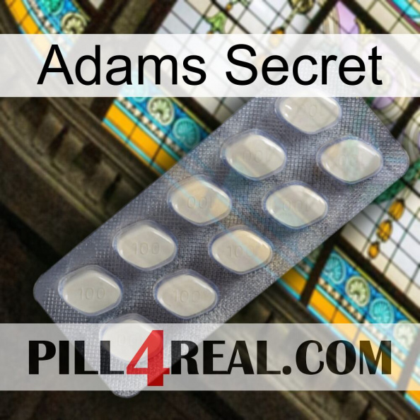 Adams Secret 08.jpg